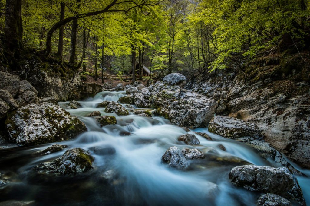 Bled, Slowenien, See, Natur, Landschaft, Landschaft, Landscape, Landschaftsfotografie, Lorenz Masser
